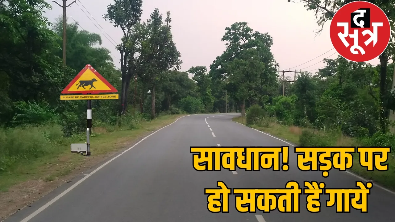 Chhattisgarh's roads have become 'cow reserve' areas, warnings are being given by putting up boards the sootr