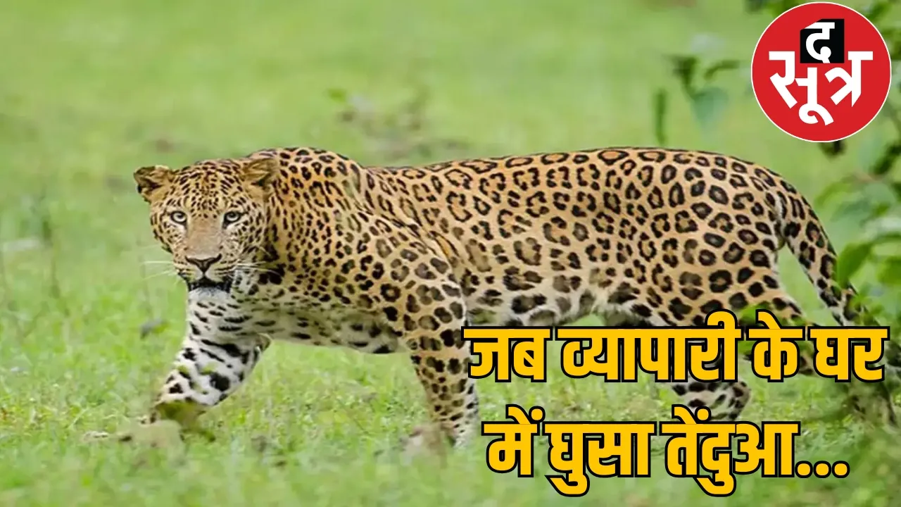 Seeing door leopard entered bathroom family chattisgarh the sootr
