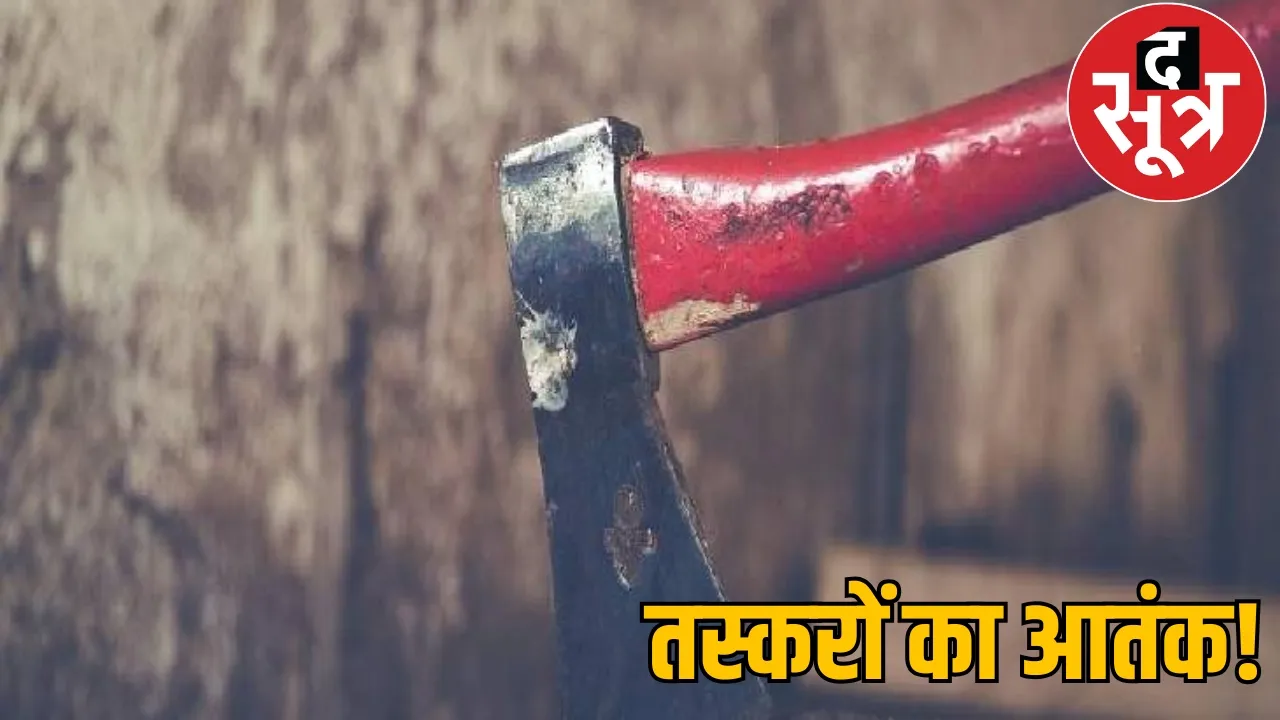Wood smugglers attacked deputy ranger axe bilaspur chattisgarh the sootr