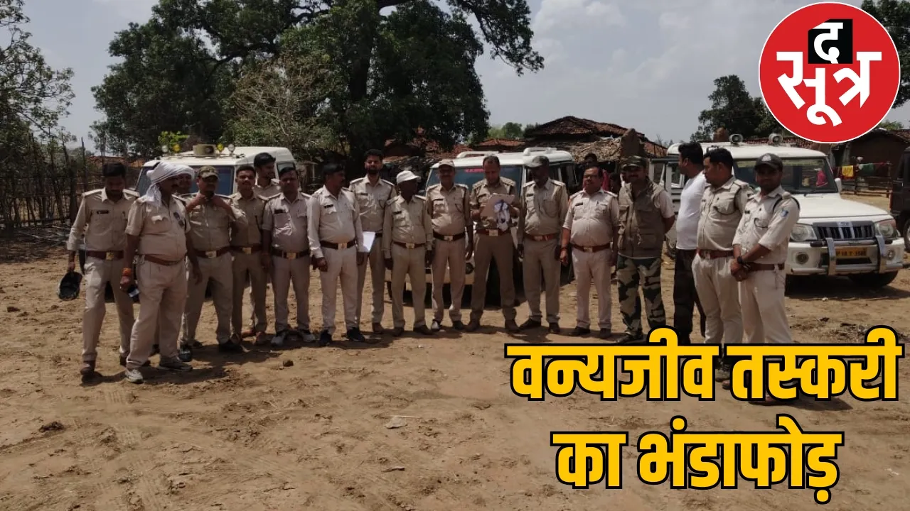 Two hunters arrested leopard skin Joint action forest department chattisgarh the sootr