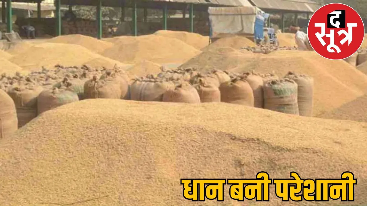 Excessive purchase paddy headache government 34 lakh tonnes paddy auctioned