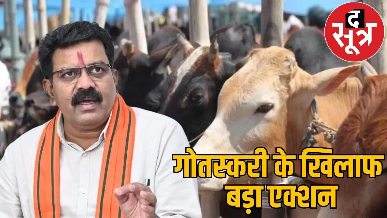 government confiscate property cow smugglers strict action taken