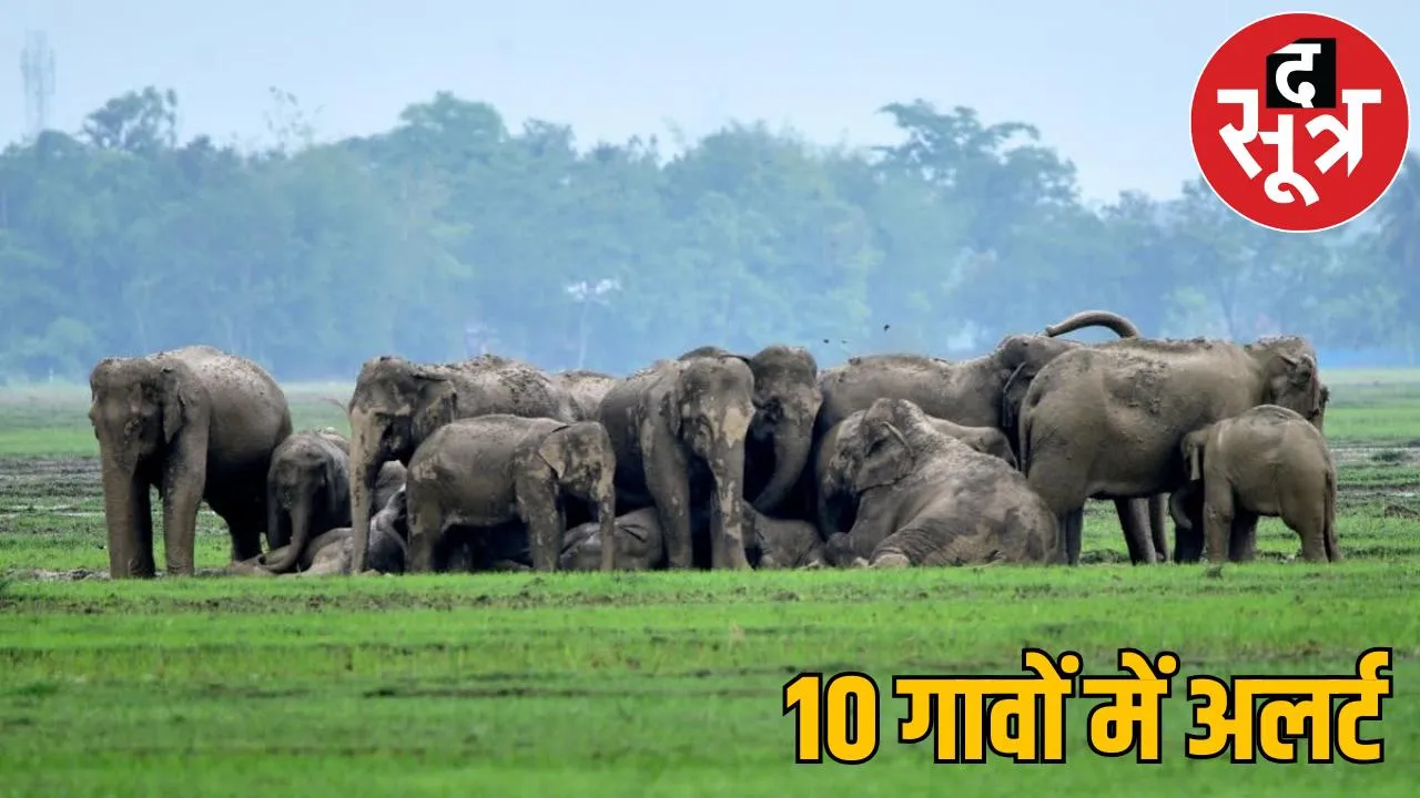 51 elephants create panic 10 villages Forest department issues alert the sootr