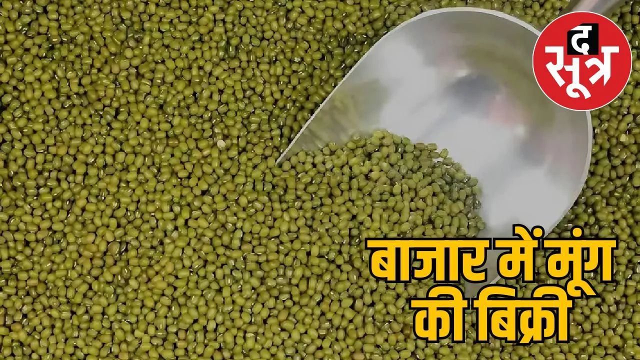 moong-toxic-decision