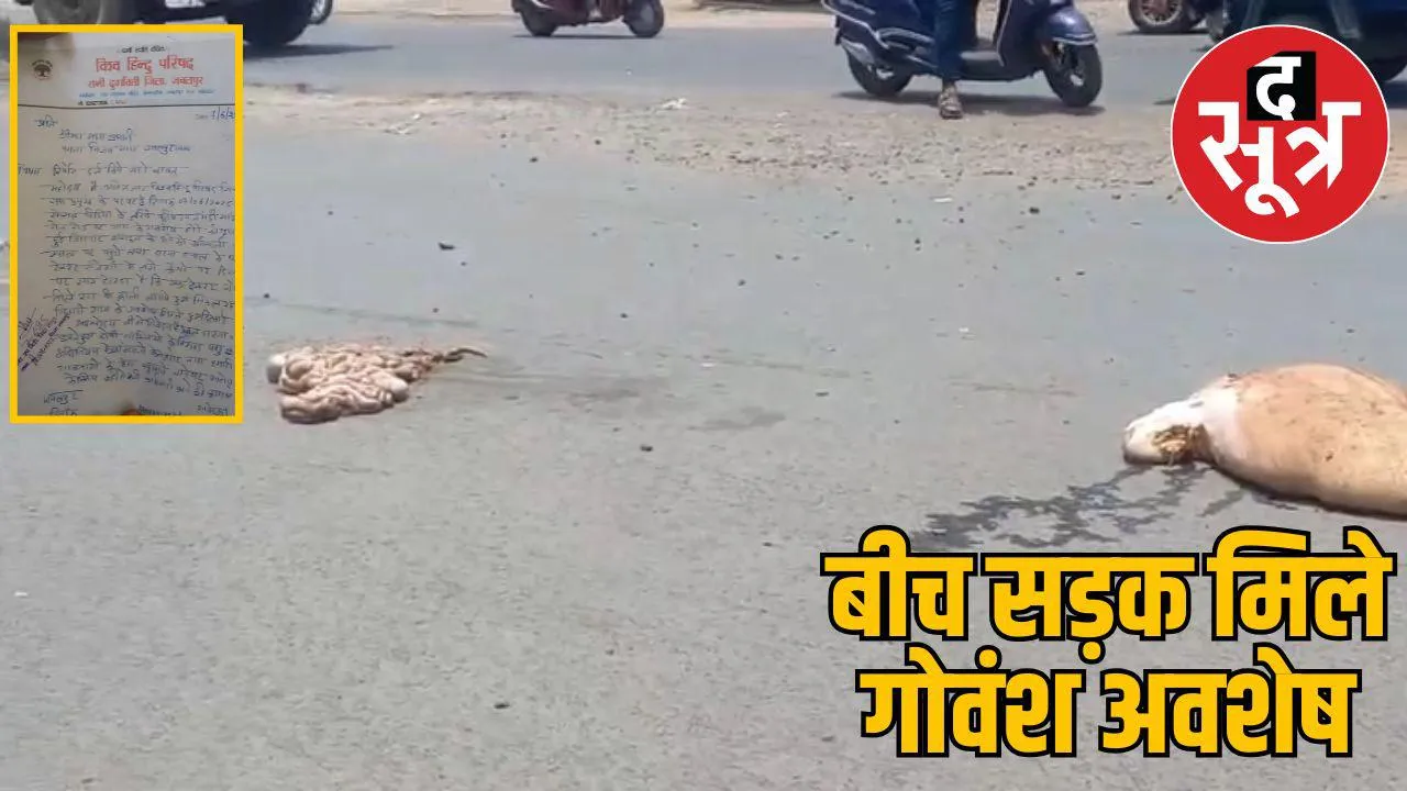 Cow remains found front