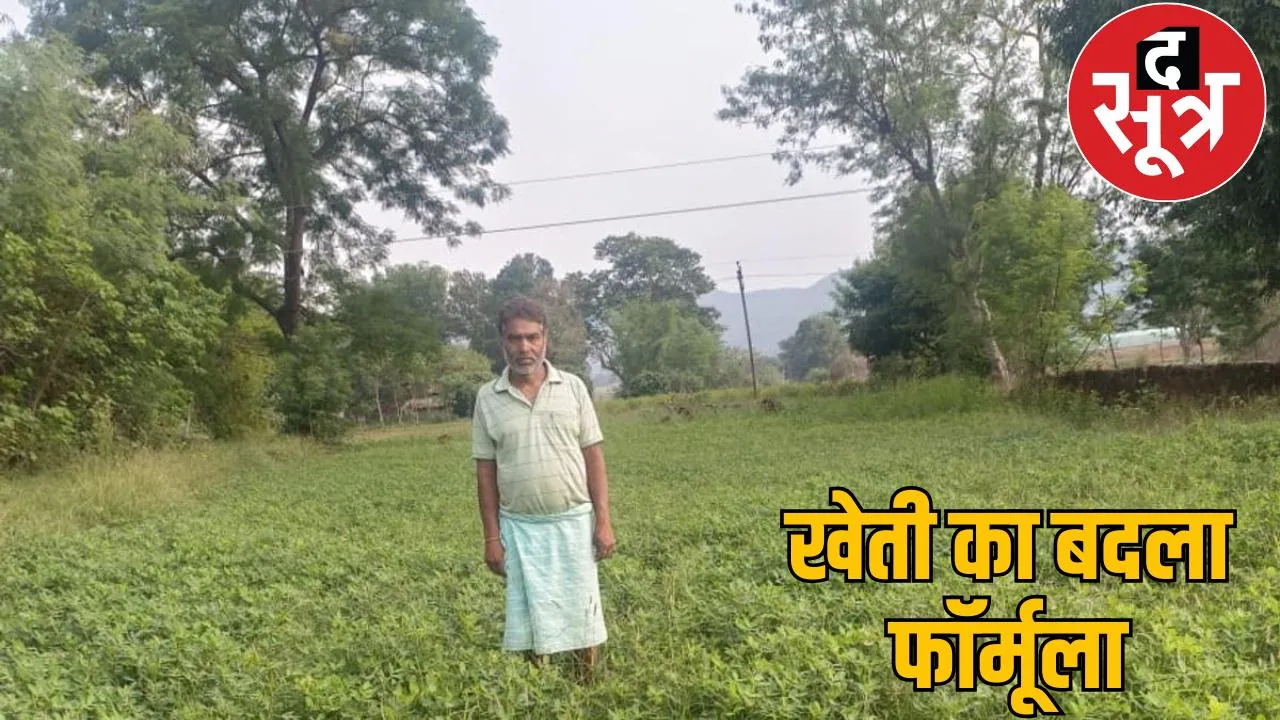 Farmers earning profit peanuts farming chattisgarh the sootr