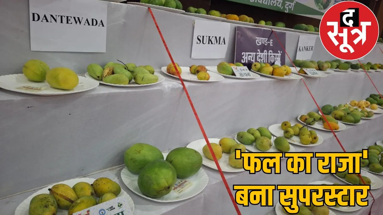 Mango worth 3 lakhs Miyazaki mango festival raipur chattisgarh the sootr