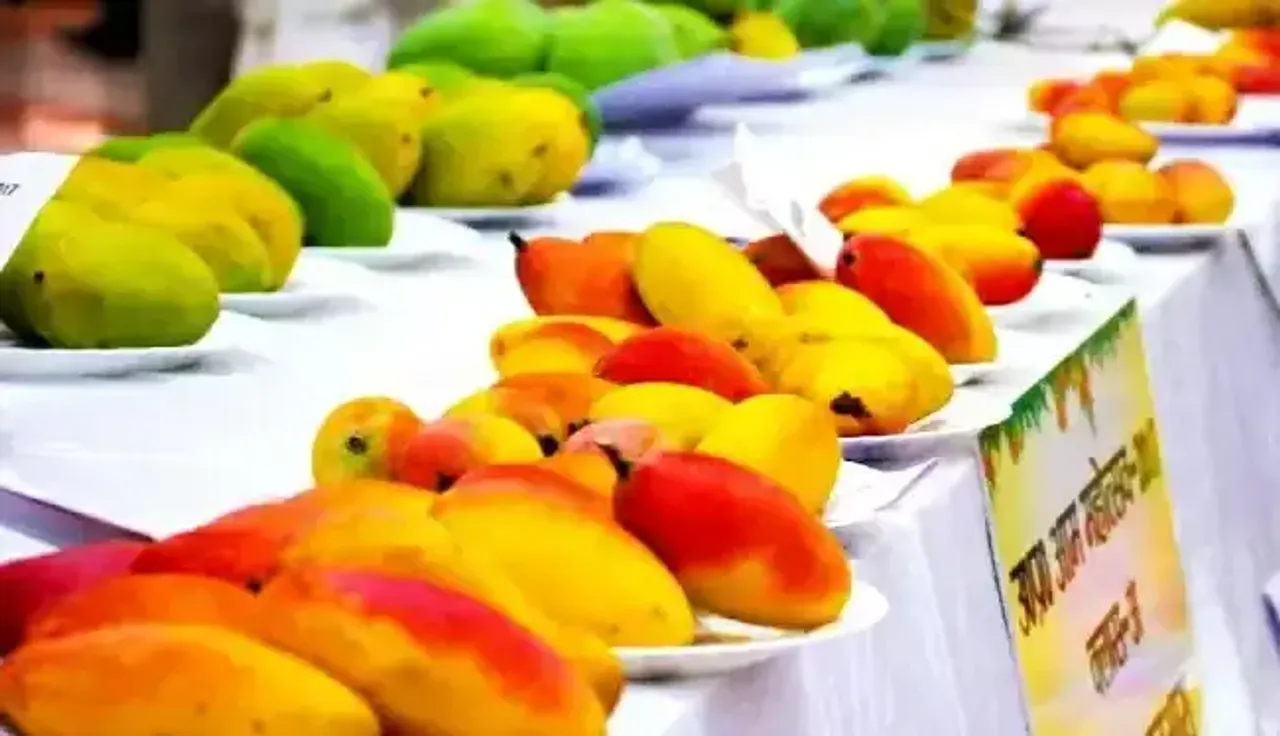 MANGO