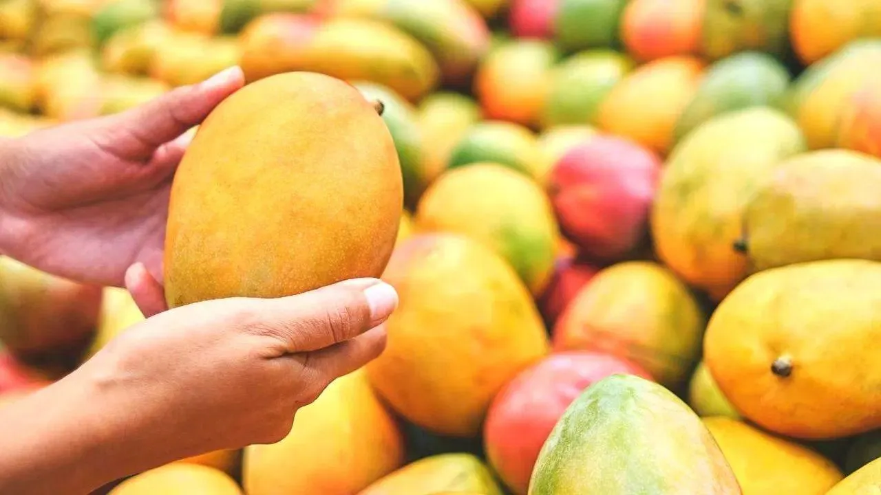aam-utsave1