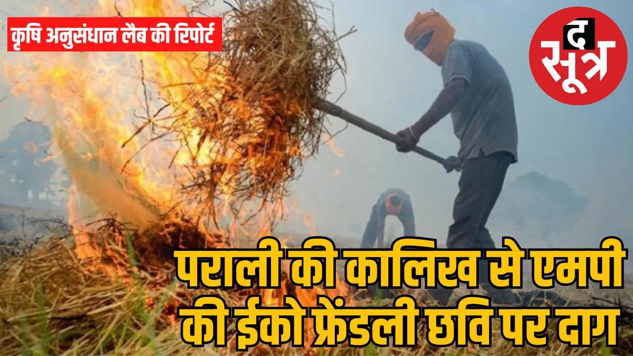 MP leads in burning stubble
