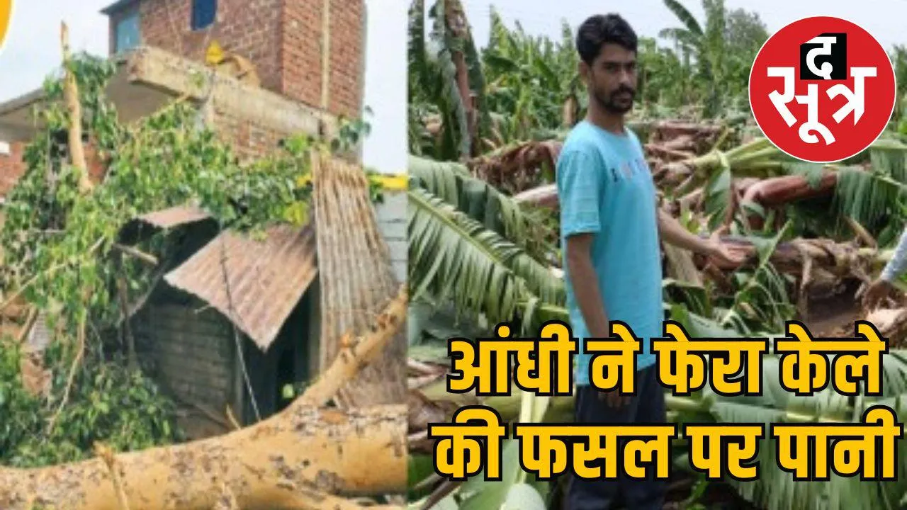 आंधी ने फेरा केले की फसल पर पानी