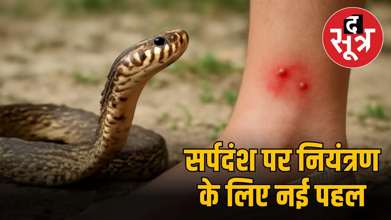 snake-bite-local-disaster