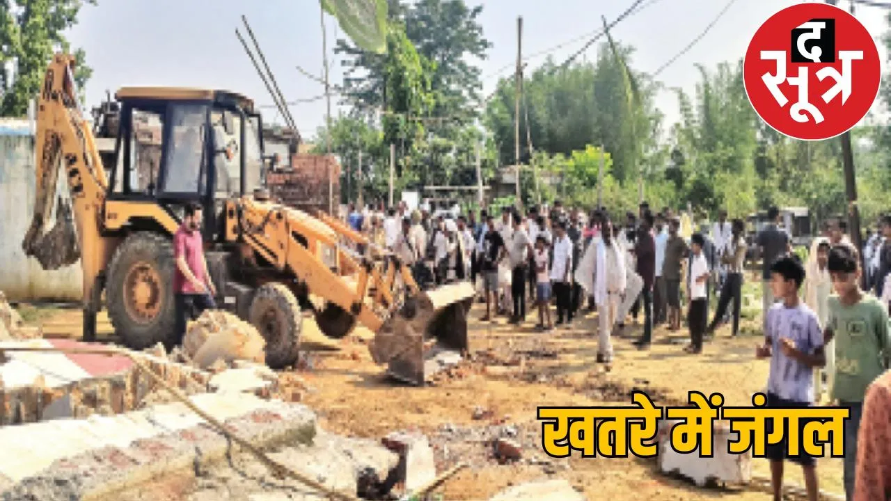 Illegal occupation of more than 10 thousand acres of forest land, forest department in action the sootr