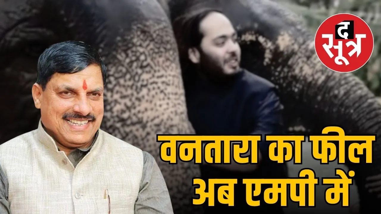 vantera-zoo-rescue-center-madhya-pradesh-plan