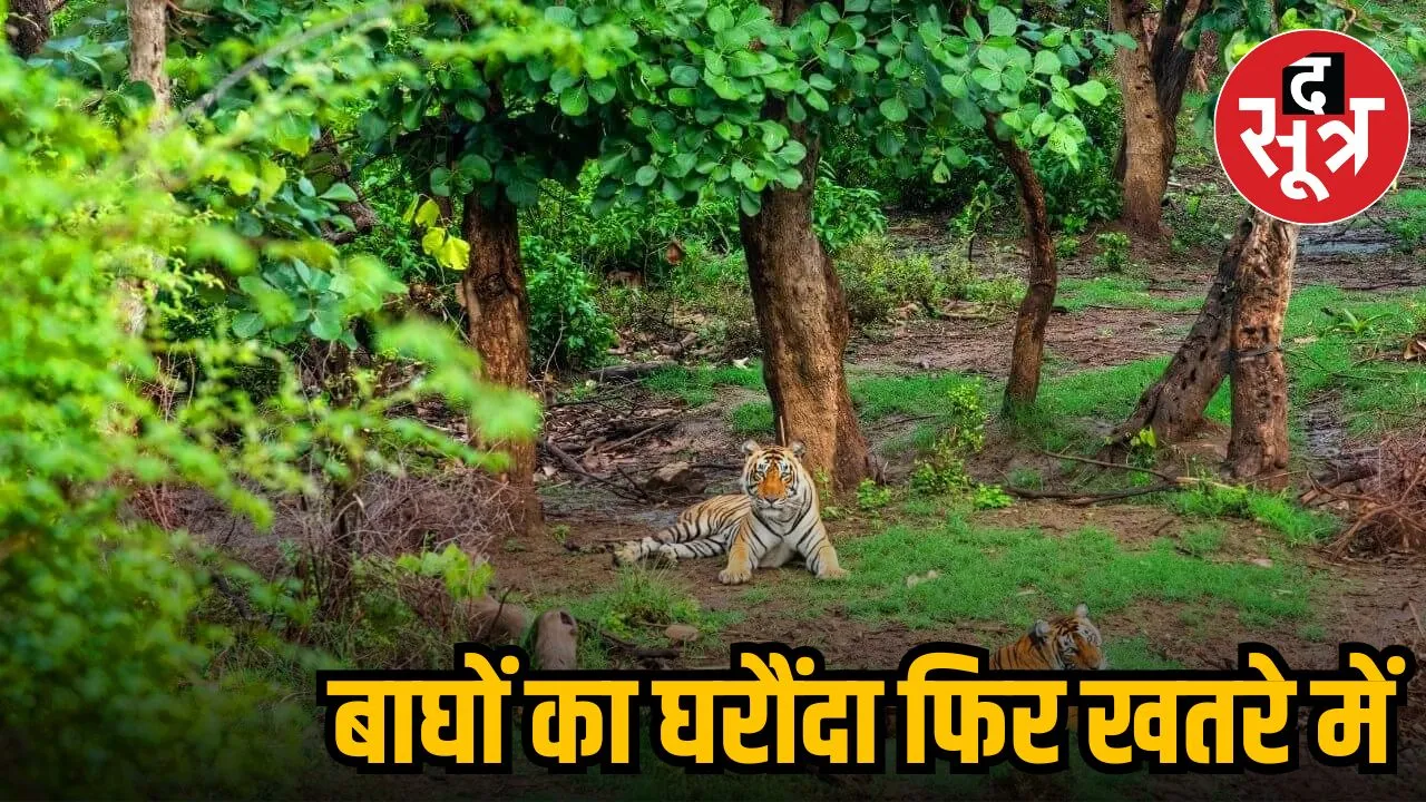 sariska tiger reserve