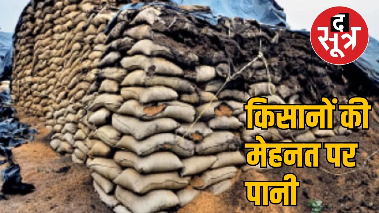Negligence at paddy procurement centres in Chhattisgarh the sootr