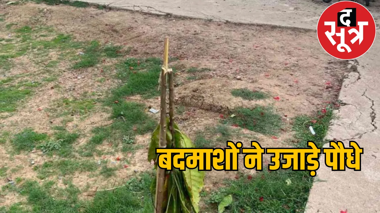 environmental-protection-vidyalaya-paudhe-uprooted the sootr