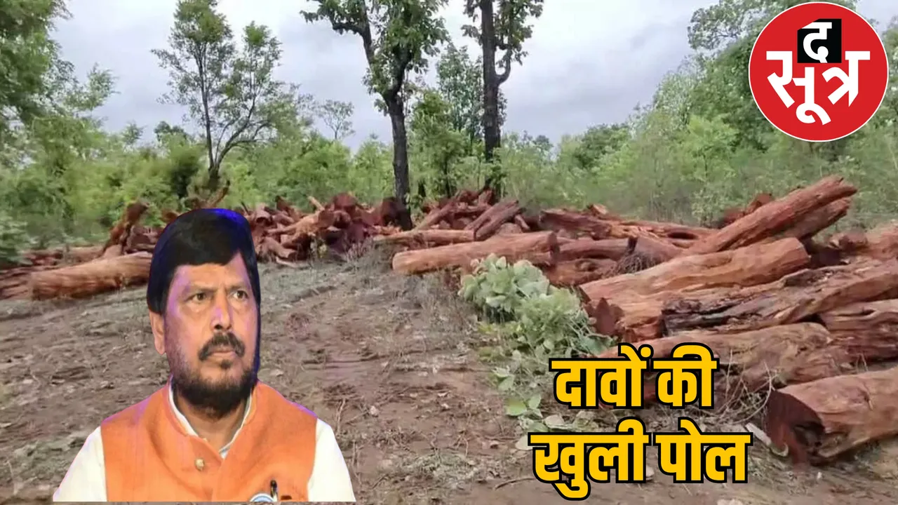 forest-cutting-bastar-adhvale-raipur-chhattisgarh the sootr