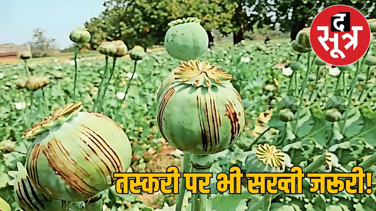 madhya-pradesh-opium-production