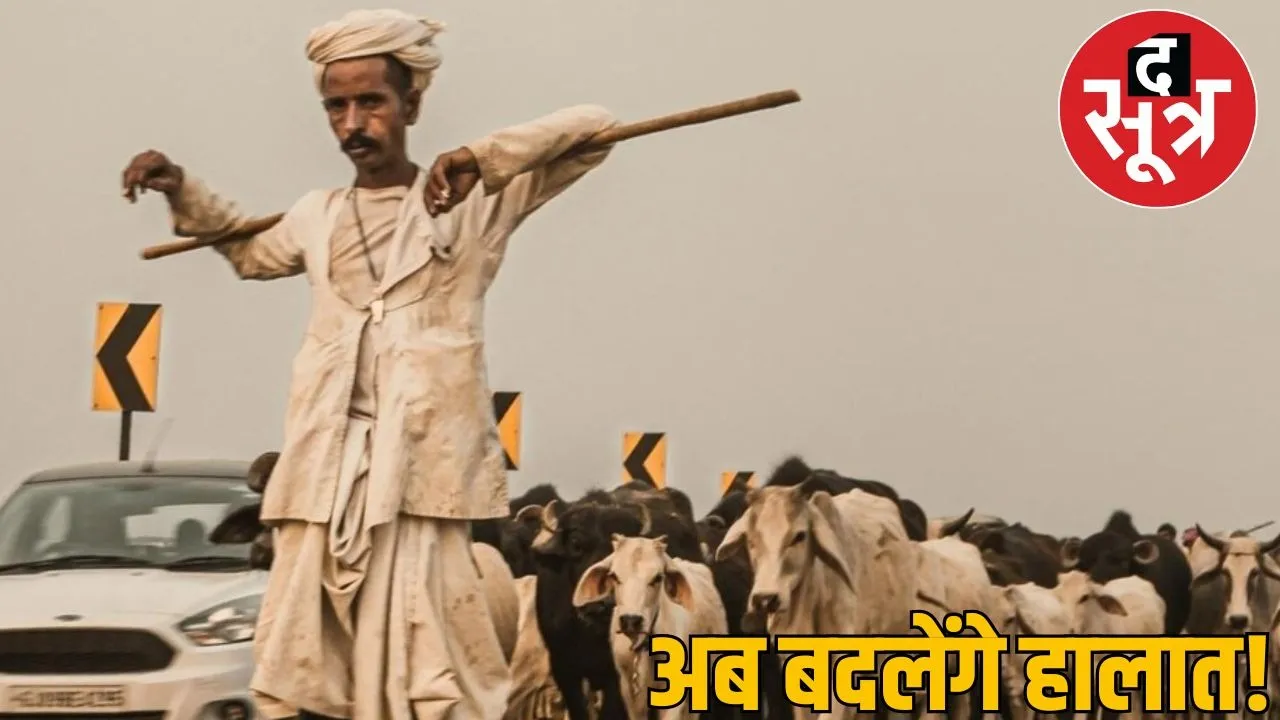 new scheem for dairy farmar