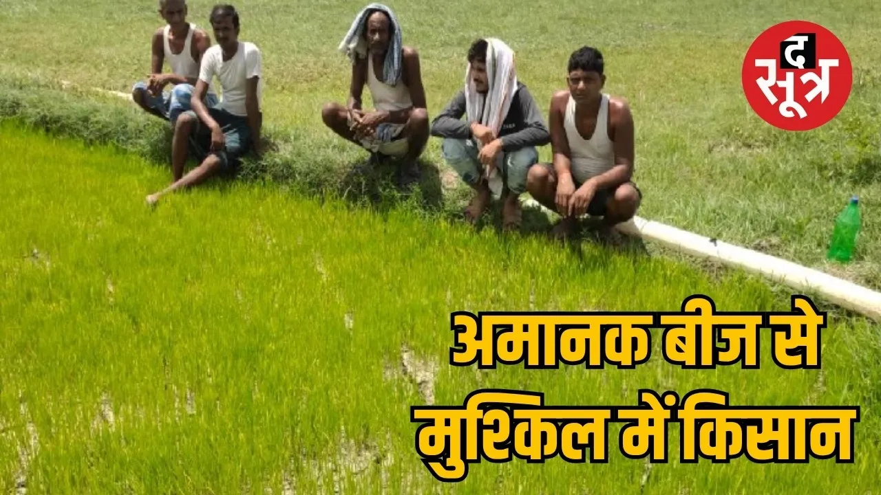 Shock to farmers due to negligence of Seed Corporation the sootr