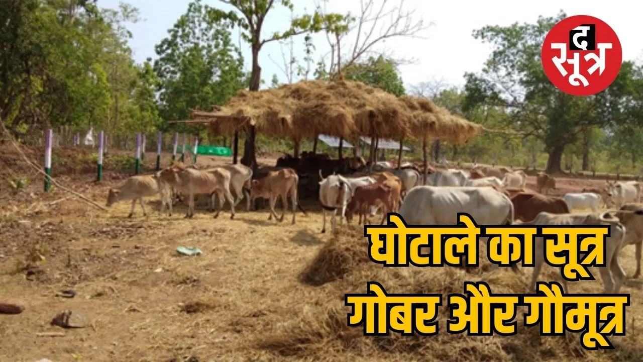 Narva Garva Ghurva scheme found in cow urine the sootr