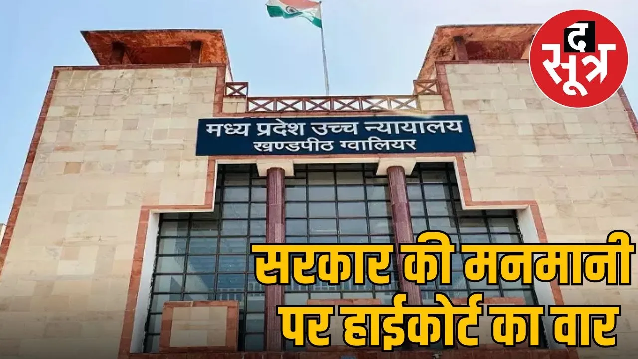 mp news
