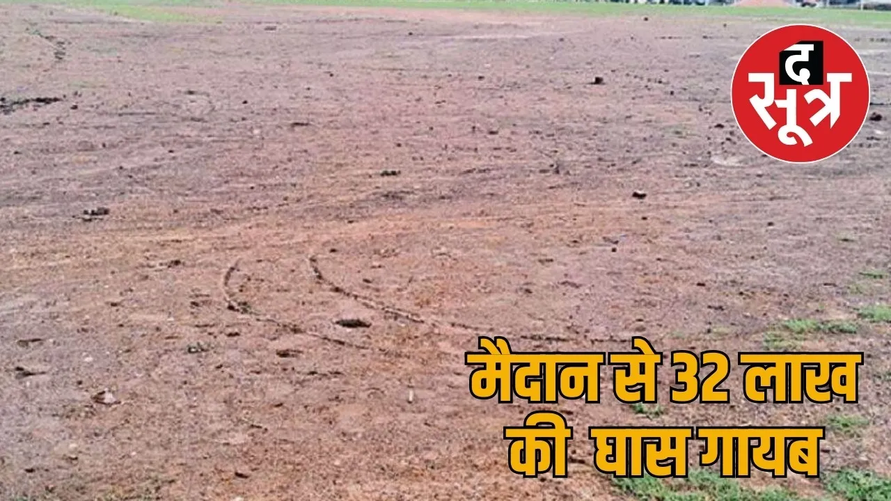Green grass worth Rs 32 lakhs missing the sootr