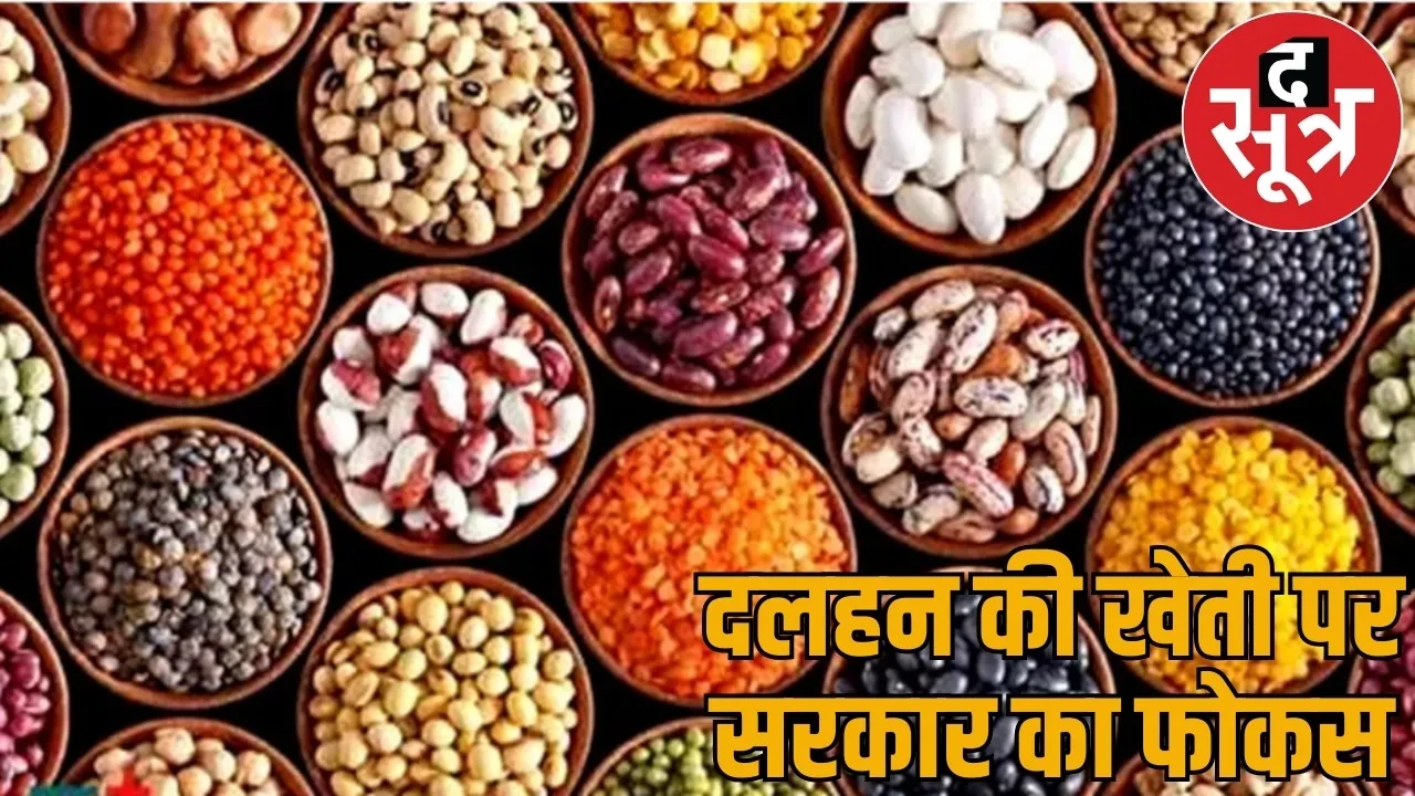 Government give 11000 rupees per acre cultivation pulses