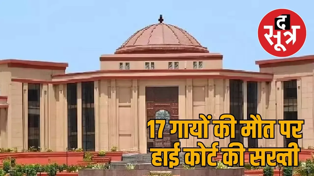 Chhattisgarh High Court strict on the problem of stray cattle on the road the sootr