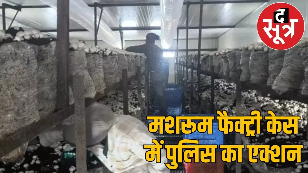 Mojo Mushroom Factory Case FIR against 4 contractors Raipur