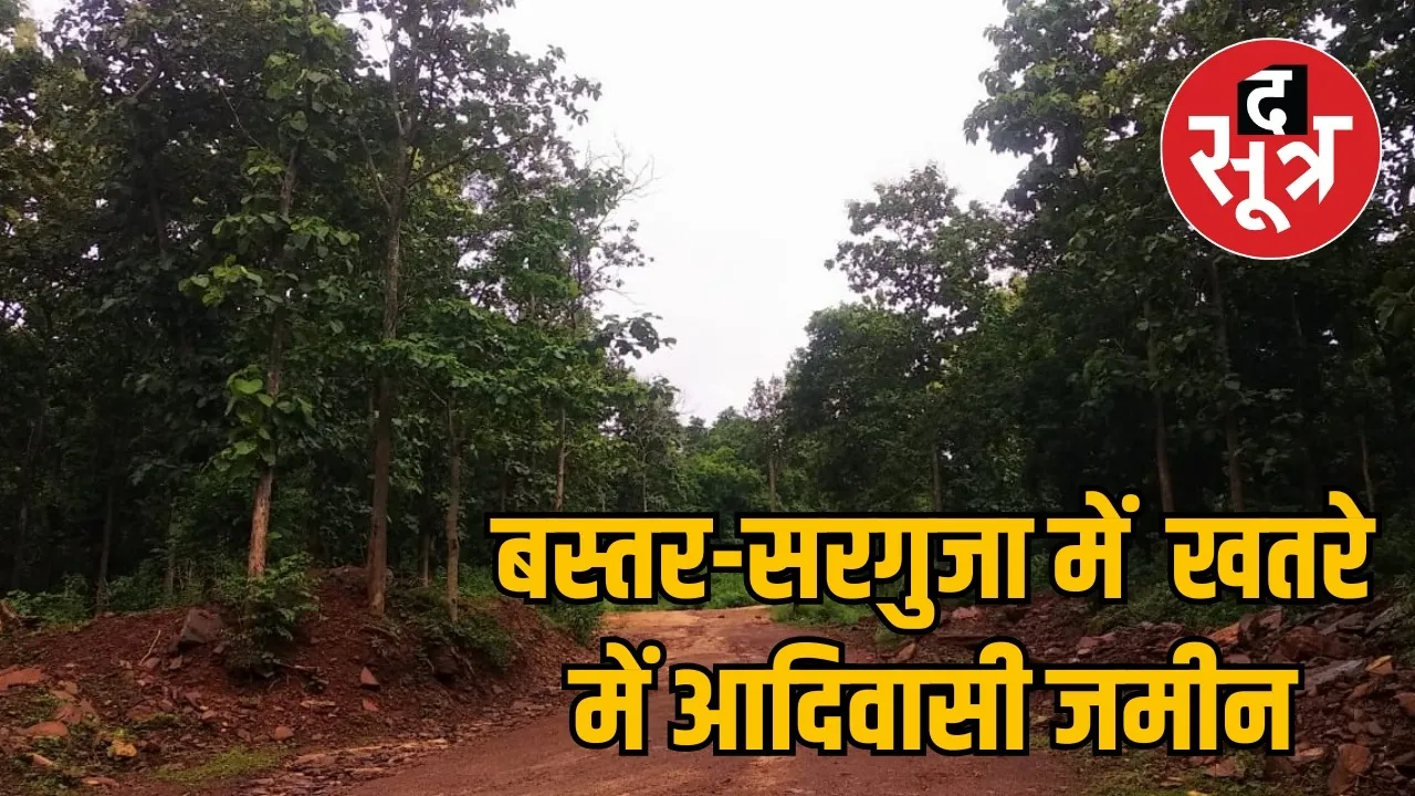 Businessmen loot forest land in Chhattisgarh the sootr