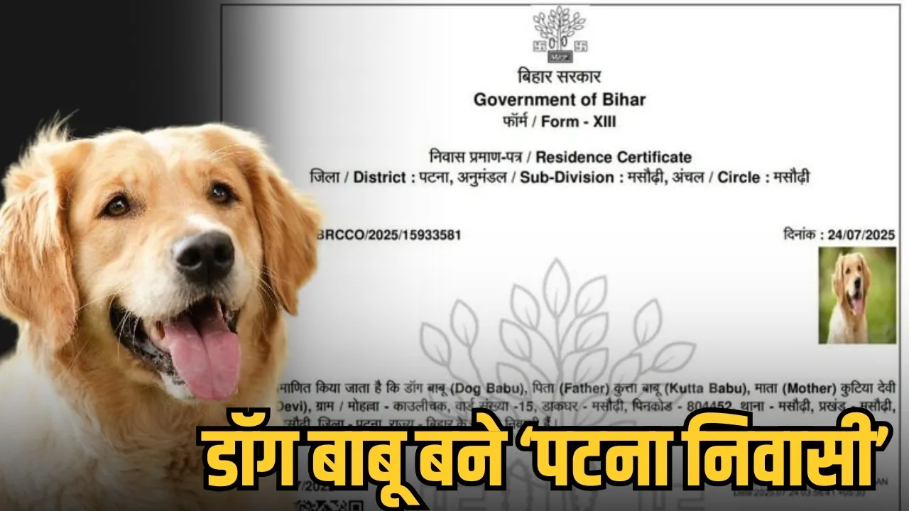 dog get Residential Certificate