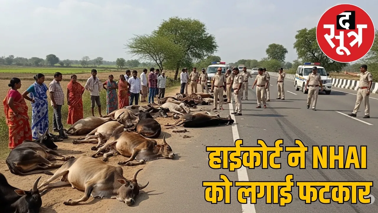 raiupur-bilaspur-nh-cattle-death-owners-booked-highcourt the sootr