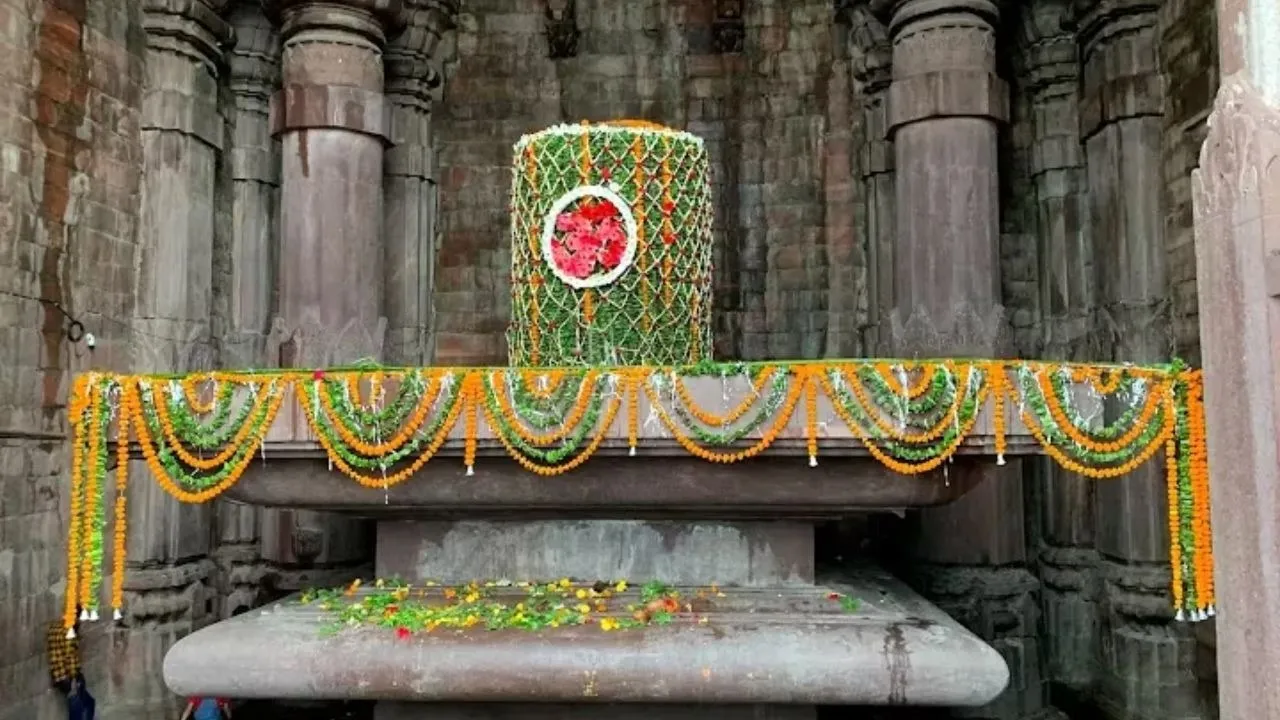 shivvv11