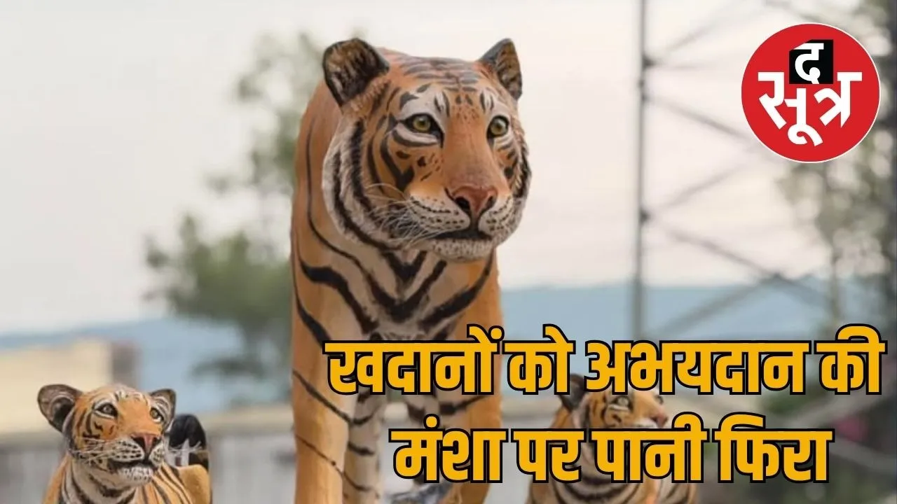 tiger