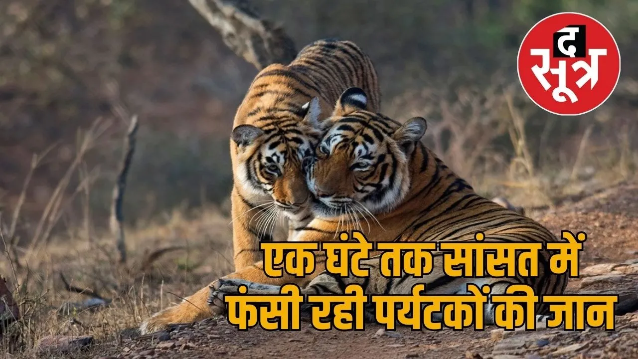 ranthambore