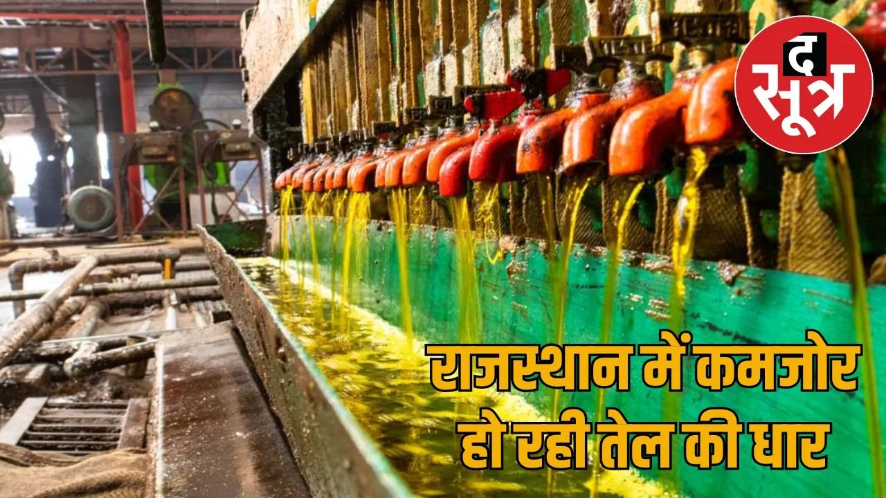 mustard-production-and-processing-in-rajasthan-2025