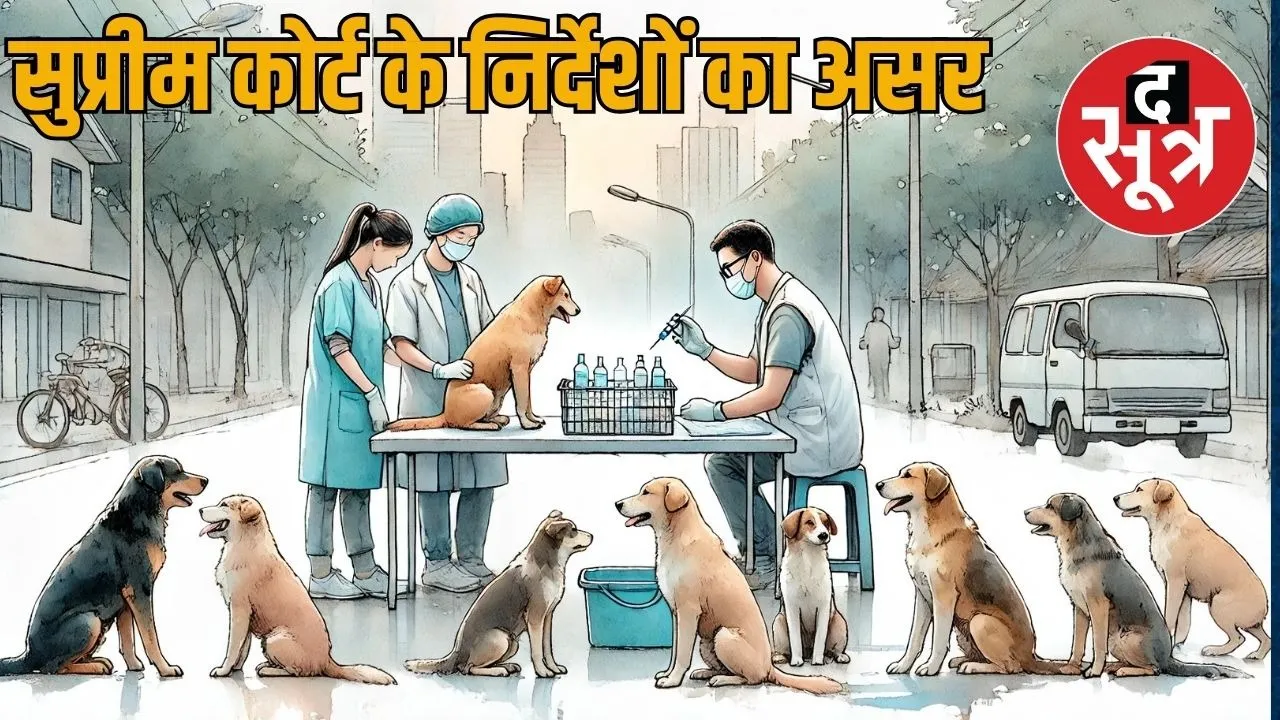 dog raj