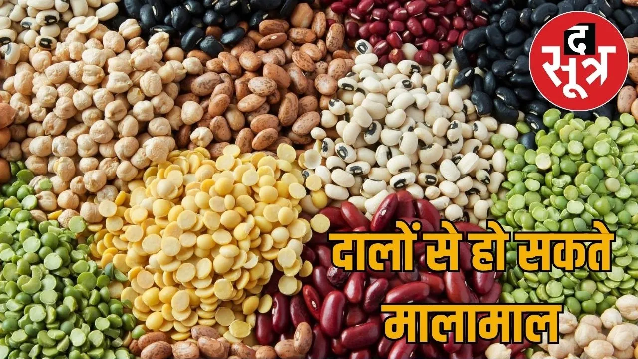rajasthan-dalhan-udan-market
