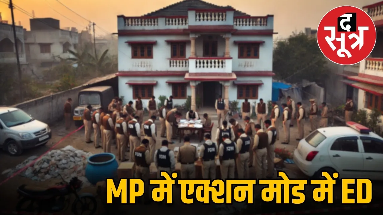 Ed mp