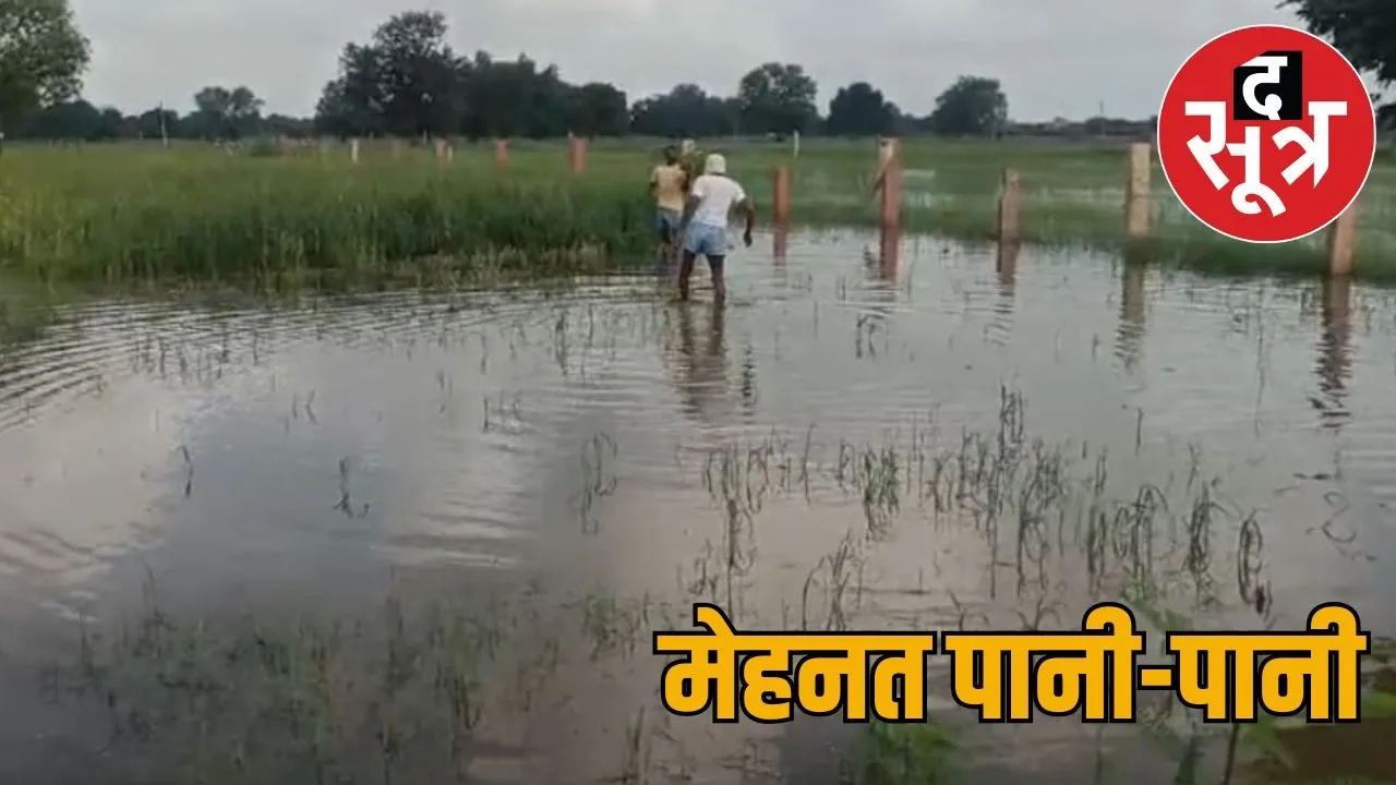 Rajasthan-Ativrishti-Kisan-Fasal-Kharab