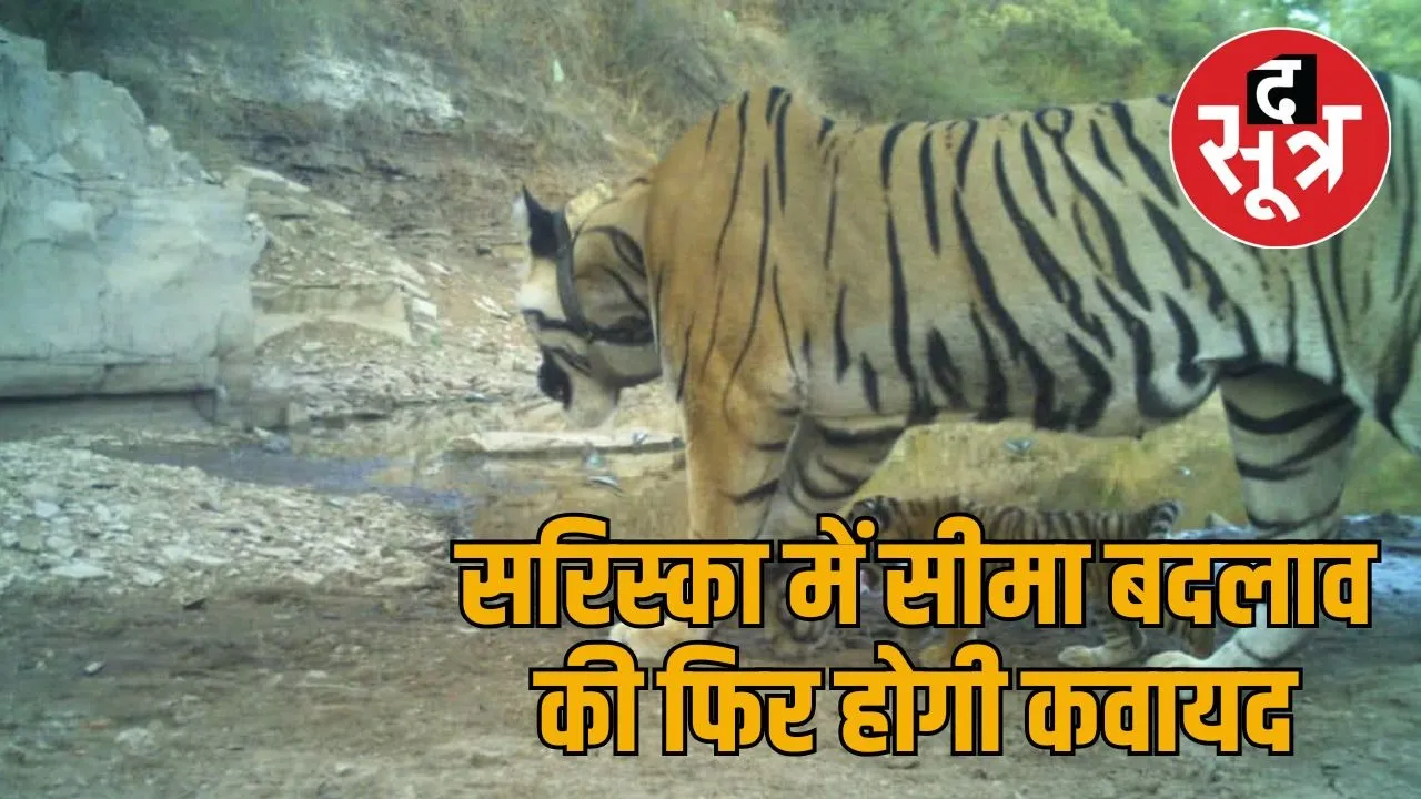 sariska