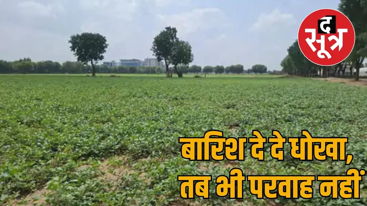 agriculture