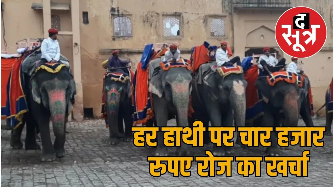 haathi gaon