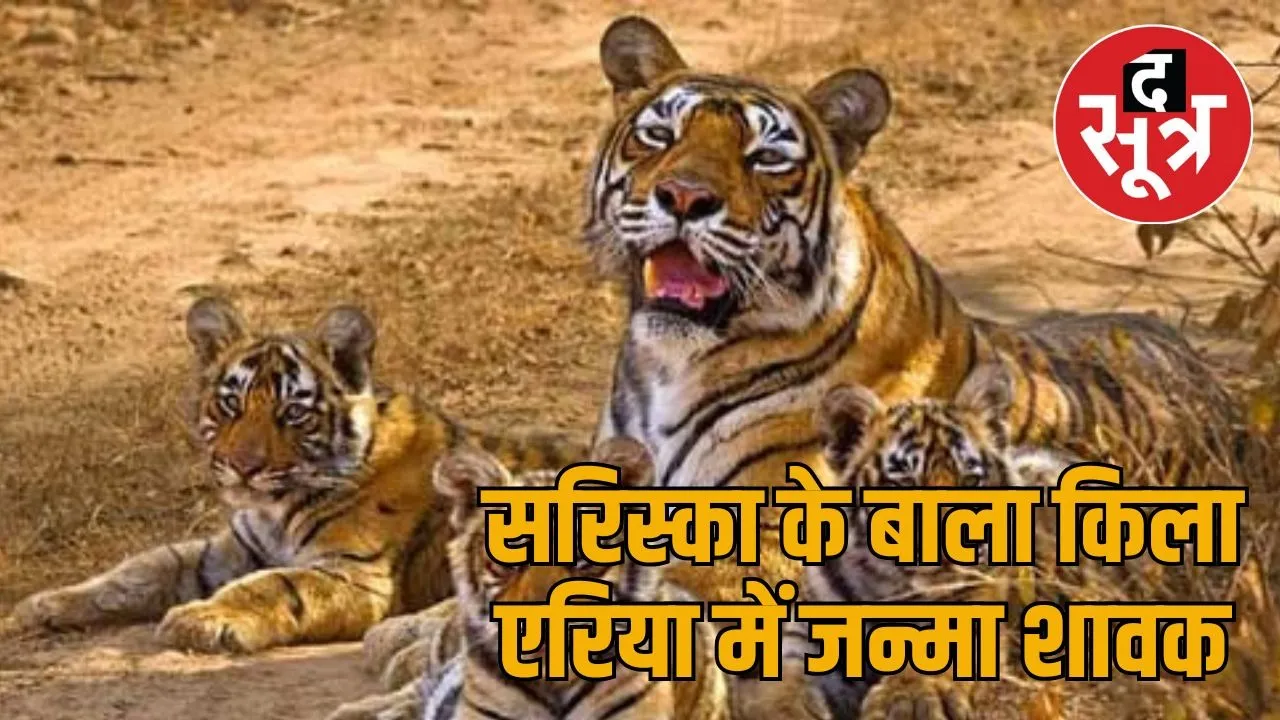 sariska