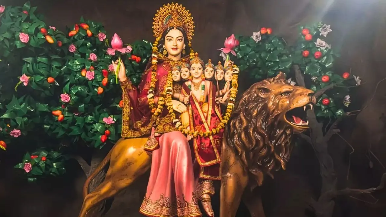 Aman vaishnav (21)