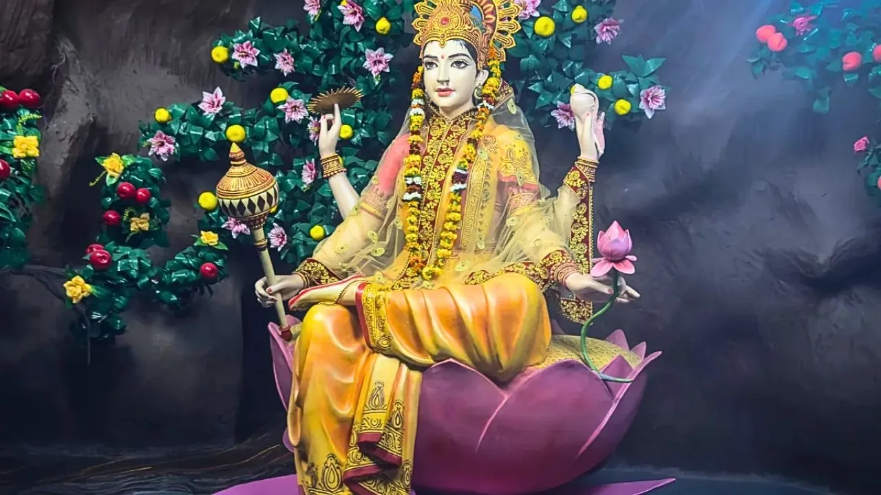 Aman vaishnav (25)