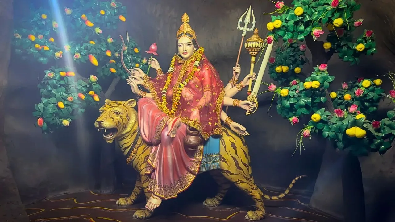 Aman vaishnav (28)