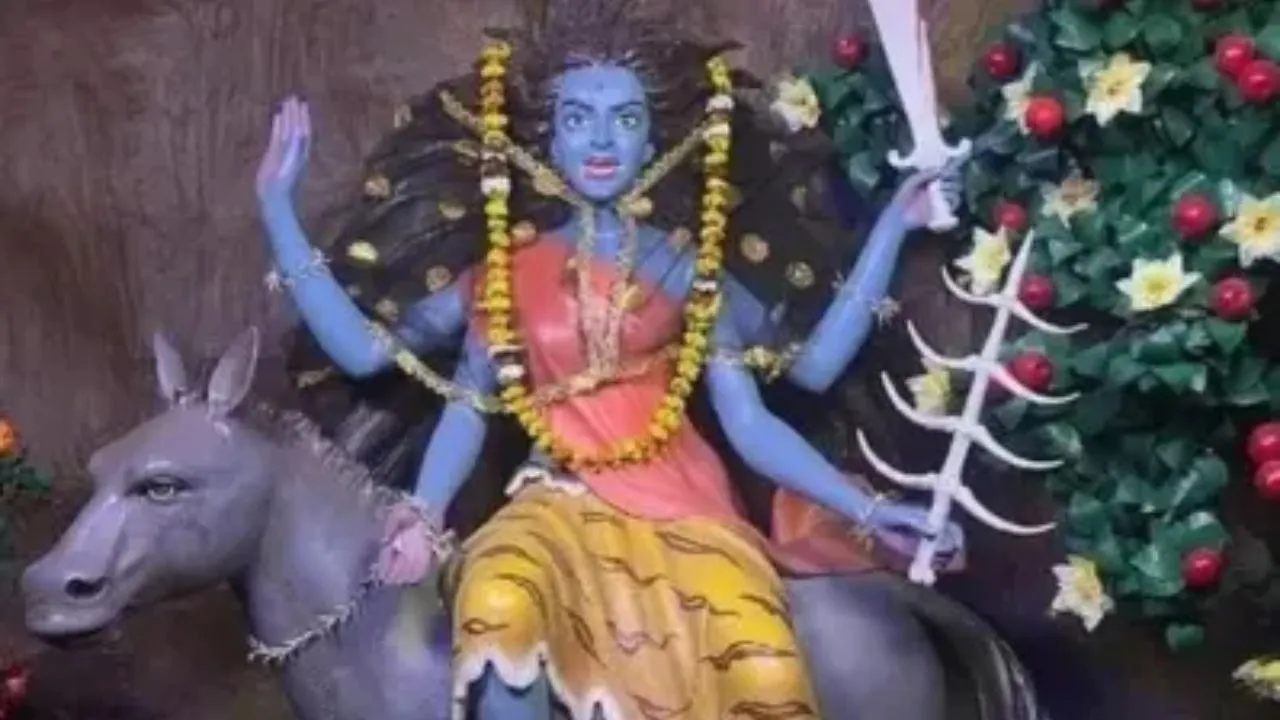 Aman vaishnav (30)